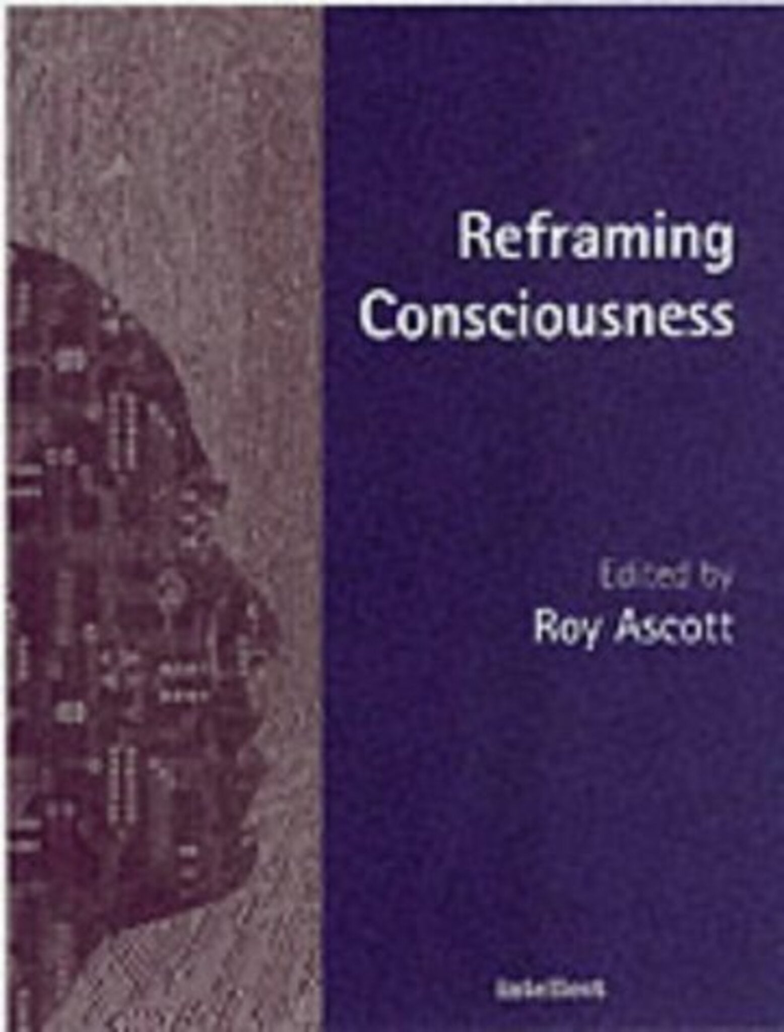 Cover image for Reframing Consciousness ISBN 9781841508153